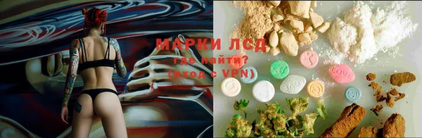 экстази Белокуриха