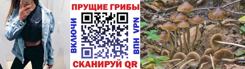 ОМГ ОМГ как зайти  Бодайбо  Галлюциногенные грибы мухоморы  как найти закладки 